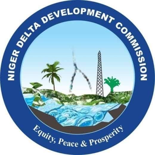 NDDC, Tamara’s Charity Foundation Host “Future Now” Children’s Celebration In Agbor